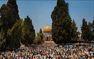 دلارام دارید