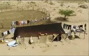 سیل زدگان