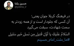 تصویر شاخص معنای جوان در فرهنگ کربلا